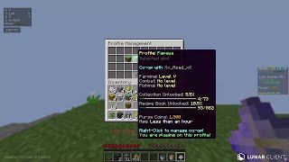 How To Make  A Coop Minecraft Skyblock World In Hypixel! Content