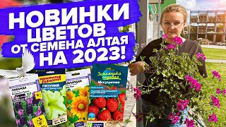 НОВИНКИ ЦВЕТОВ 2023 от #СеменаАлтая: ПЕТУНИЯ, ЛАВАНДА, ЗЕМЛЯНИКА, ЛЬВИНЫЙ ЗЕВ