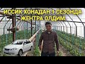 ИССИК ХОНАДАН 1 СЕЗОНДА ЖЕНТРА ОЛДИМ ОММА БОБ БИЗНЕС