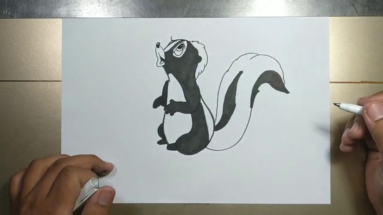 How to draw SKUNK EASY in 5 minutes - YouTube