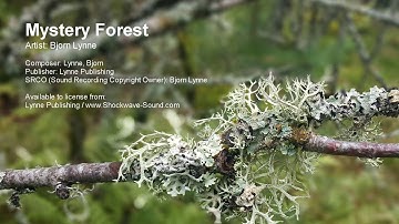 Mystery Forest - Bjorn Lynne | Cinematic | Background Music Royalty Free Music | Shockwave-Sound