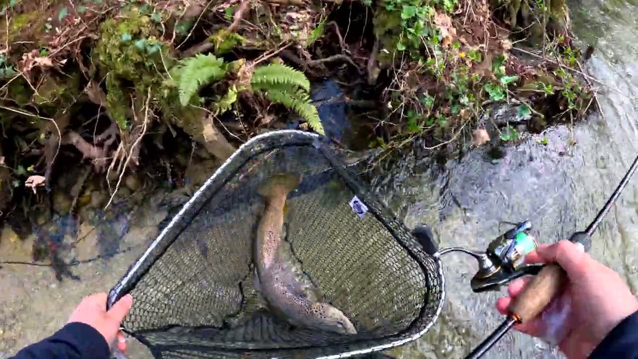 Pescuit Pastrav ep.4