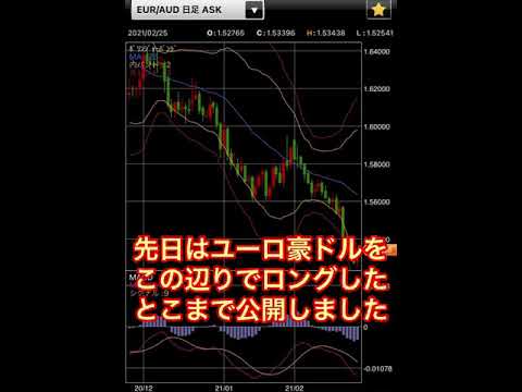 FX（複利運用）1日5pipsチャレンジ100日目