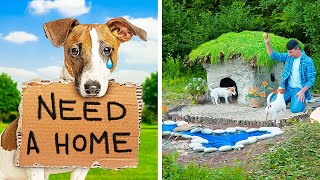 HOMELESS PUPPIES STORY || CUTE HOUSE FOR ABANDONED DOGS