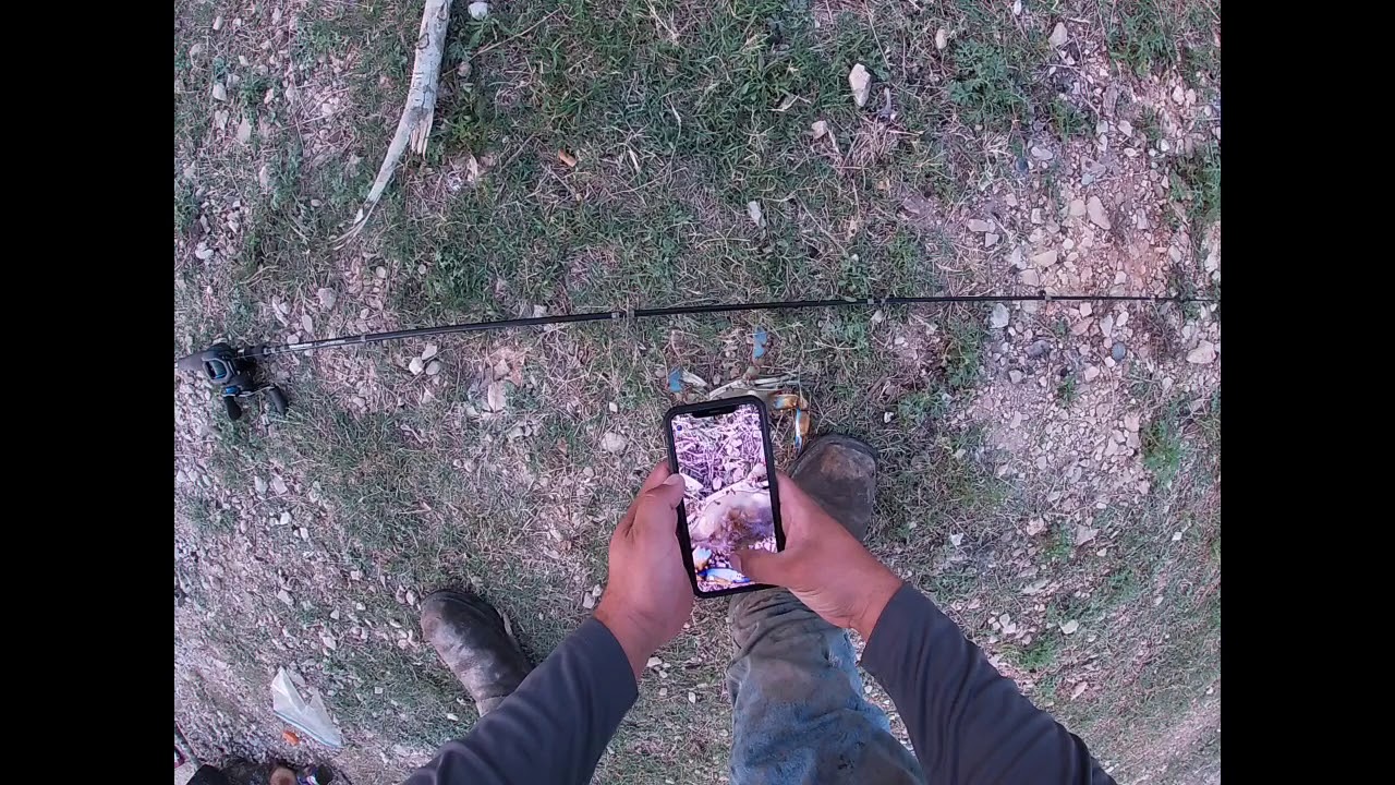 Fishing tres palacios with dead shrimp! YouTube