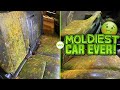 Deep Cleaning the MOLDIEST CAR EVER! | Satisfying Interior & Exterior BIOHAZARD Car Detailing