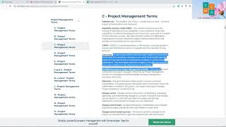 VA vlog #4 | Data Entry Copy & Paste | VA Sample Task | VA Mommy Cath