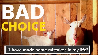 "I have made some mistakes in my life" (On Buying Goats...)