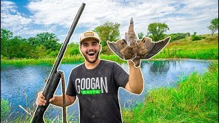 DOVE HUNTING in My BACKYARD!!!! (CATCH CLEAN COOK)