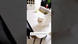 Ai gọi con vậy mẹ