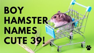 🐹 Boy Hamster Names 39+ 💕 CUTE 💖 TOP Ideas | Names