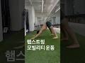 허리고관절골반 통증있을때 꼭 해야하는 햄스트링 늘리는 운동 #mobility #햄스트링 #hipmobility #햄스트링스트레칭 #코어무브