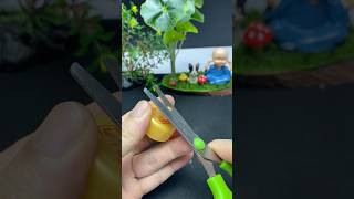 Genius Invention That Will Amazing You Diy Funnel From A Plastic Bottle