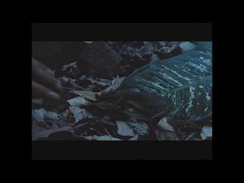 Predator (1987) - Deleted scenes of Anna