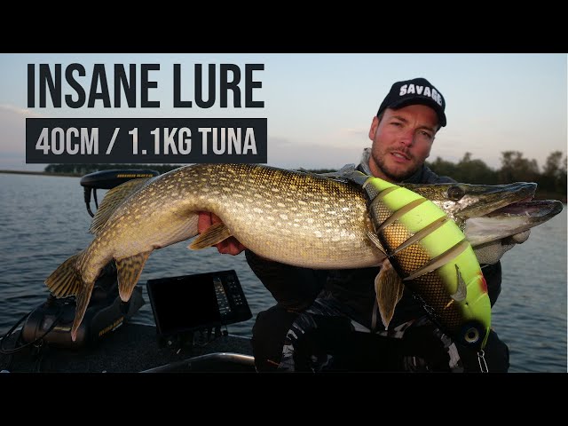 INSANE GIANT TUNA LURE (40CM / 1.1KG!) FOR PIKE?! 