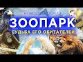 🔻Зоопарк🔹Какая жизнь у животных в одном из самых больших зоопарков России🔹