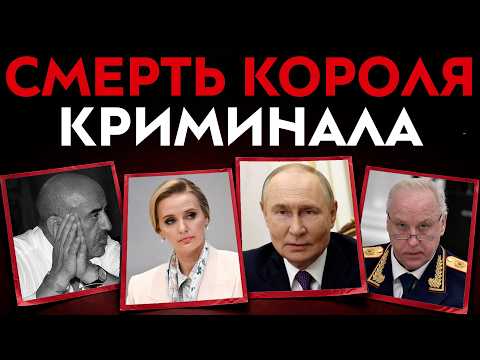 Youtube видео