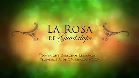 La Rosa de Guadalupe: Ninja: Parte: 1/2