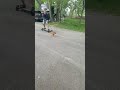 Chihuahua pulls skateboarder #Shorts