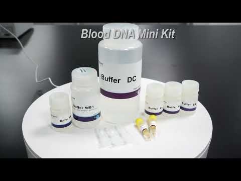Blood DNA Mini Kit