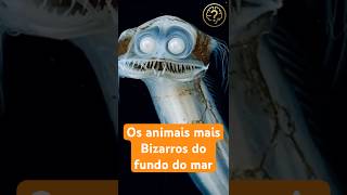 😱 Os Animais Mais Bizarros do Fundo do Mar! 🌊💡 #ExplicaAi  #curiosidades #shorts
