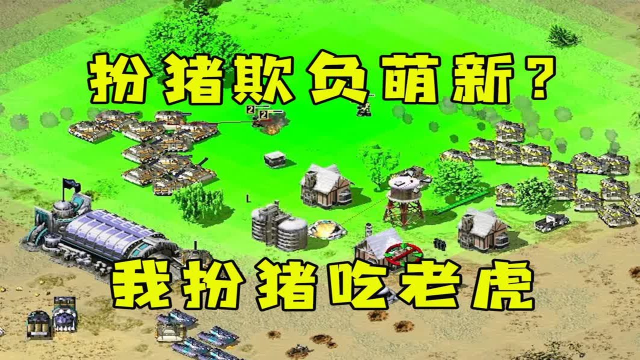 红警房主扮萌新吃绵羊！我扮猪吃老虎，欺负红警未来！|Red alert 2