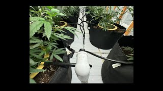 Irrigation System Update: New year, new drip.