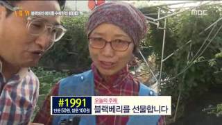 전주MBC 2016년 8월 11일 생방송뷰