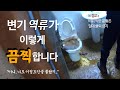 변기 역류로 고통 받는 분들에게 이 영상을 바칩니다.