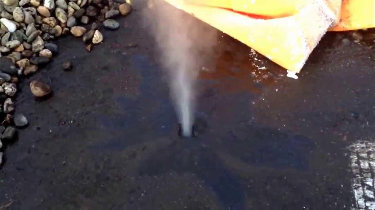 ADN mise en évidence d