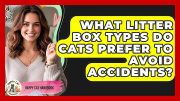 What Litter Box Types Do Cats Prefer To Avoid Accidents? - Happy Cat Handbook