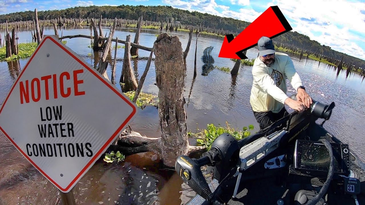 Fishing EXTREME Conditions in an ANCIENT FLOODED FOREST!!