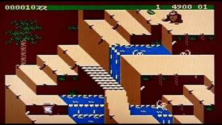 Celebrity Congo Bongo on the Atari 400/800 XL/XE. Gameplay & Commentary Wealth