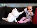 「絶対に笑う」あり得ないことをする犬★おもしろい犬のハプニング, 失敗画像集 #39
