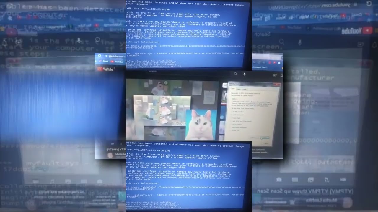 (YTPMV) @murkaleshka HAS BSOD Scan