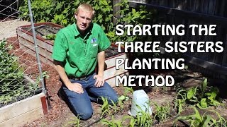Starting The Three Sisters Planting Method