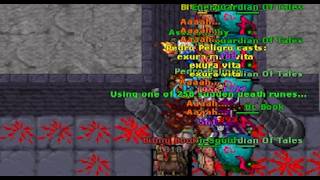 1454RP SOLADO PELORIA - WAKEN KILLS SEKUS REAPERS - IS THIS THE MOMENT TO DELETE TIBIA Peloria War