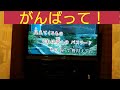がんばって!/林原めぐみ。singingした、せつなニキ