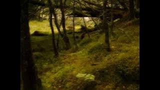 Richard Searles - Robin Hood and the Tanner