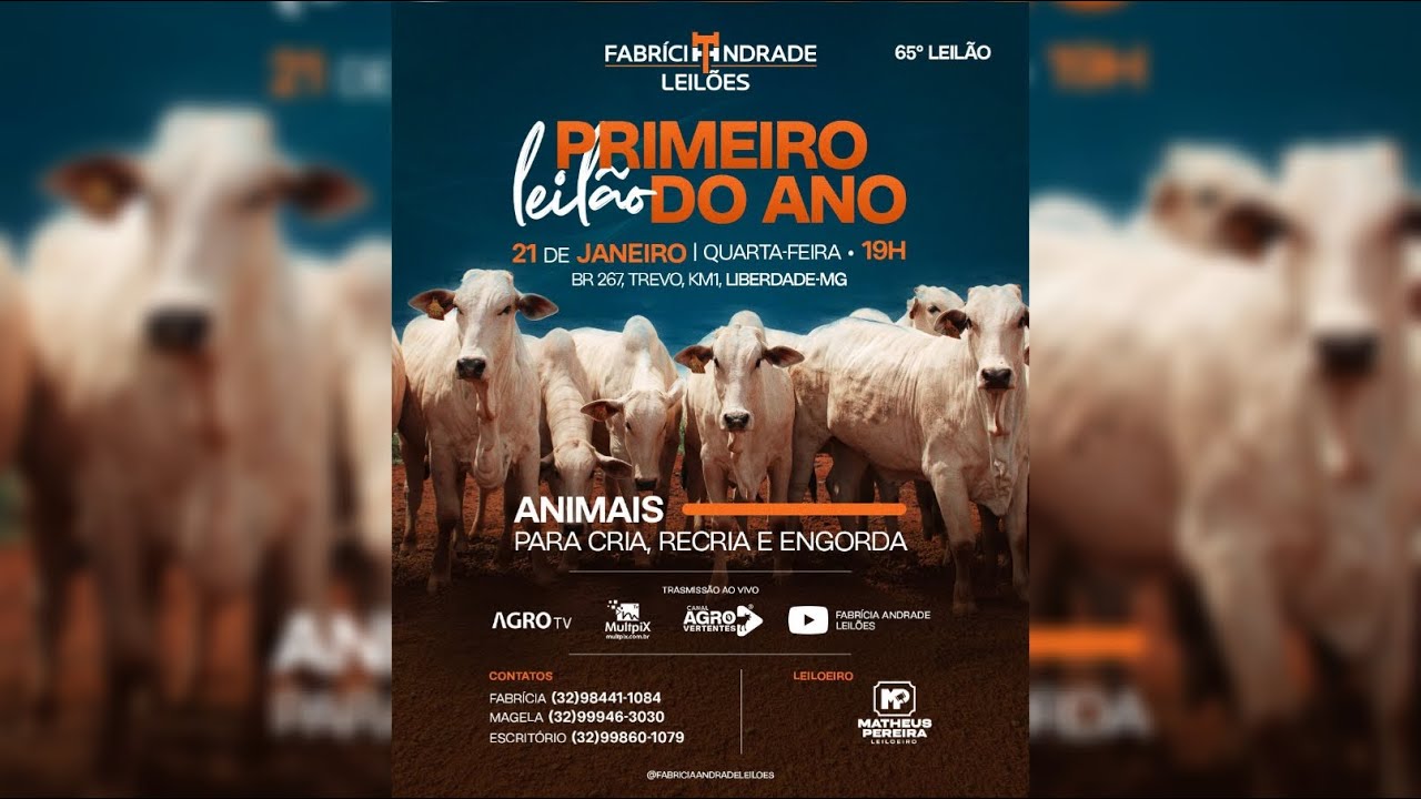 65º LEILÃO SÓ CORTE - FABRÍCIA ANDRADE LEILÕES - 21/01/2026