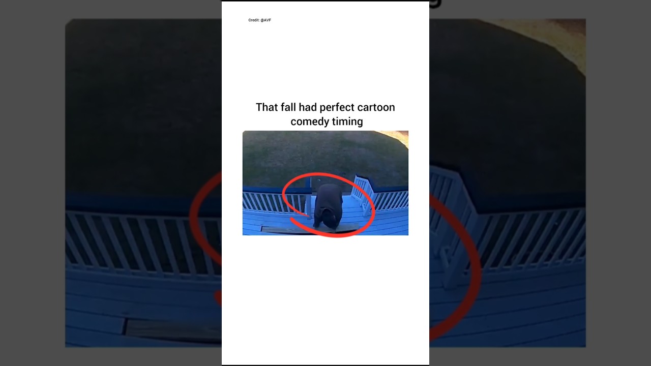 That slip was way too perfectly timed 