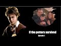 If the Potters survived - Episode 1