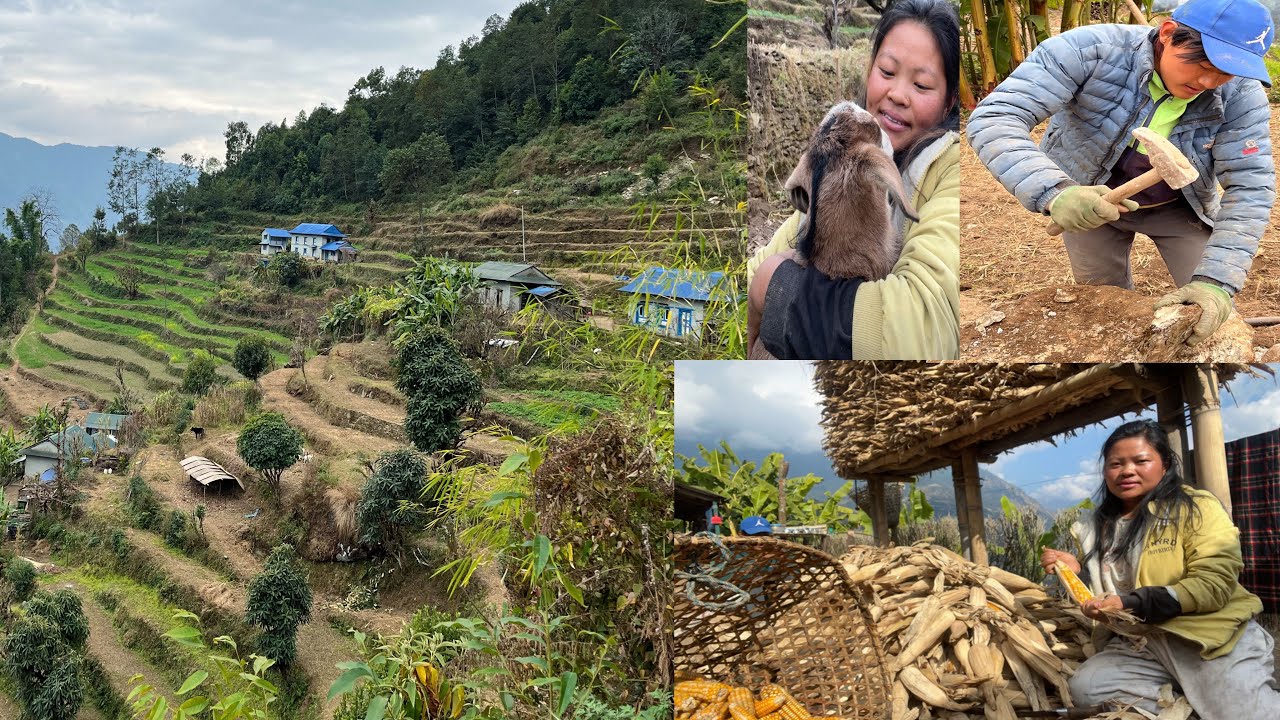 Gau ghar🏡ma Yasari Bitdai Xa Mero Dinharu 🤗 | Sristina Khaling Vlog | Solukhumbu Nepal | 2026