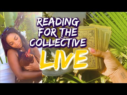 ✨LIVE✨Reading for the Collective!