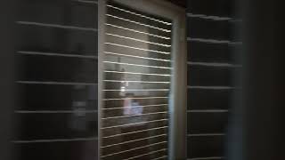 il mio nuovo arredamento 😁#palermo #sicilia #drawing #fumetti #anime