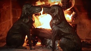 Ken Fulk Talks about the Collection