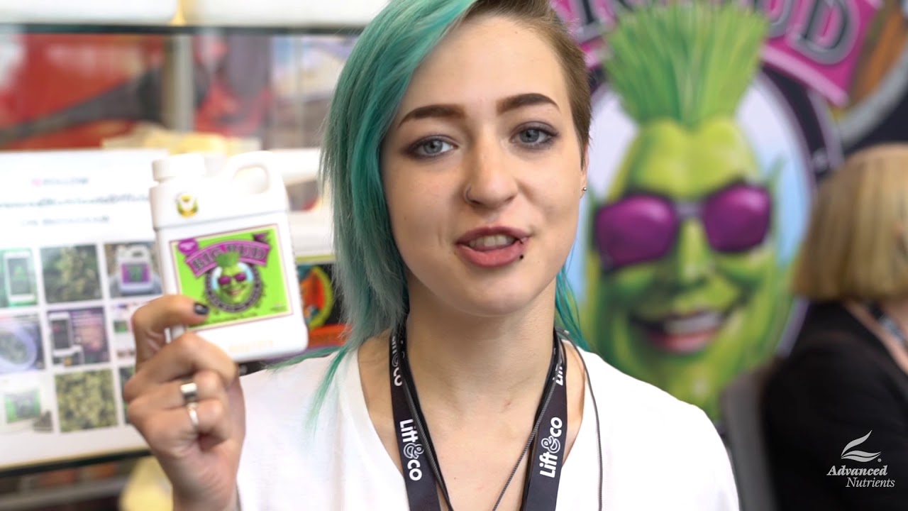 2018 Lift & Co. Expo in Toronto