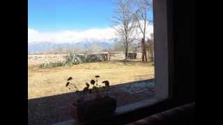 Campo "Finca de Abajo", Los Arboles, Tunuyán, Mendoza, Argentina..