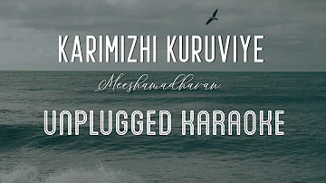 Karimizhi Kuruviye - Meeshamadhavan | Karaoke with Lyrics | unplugged | Vidyasagar | Sebin Xavier