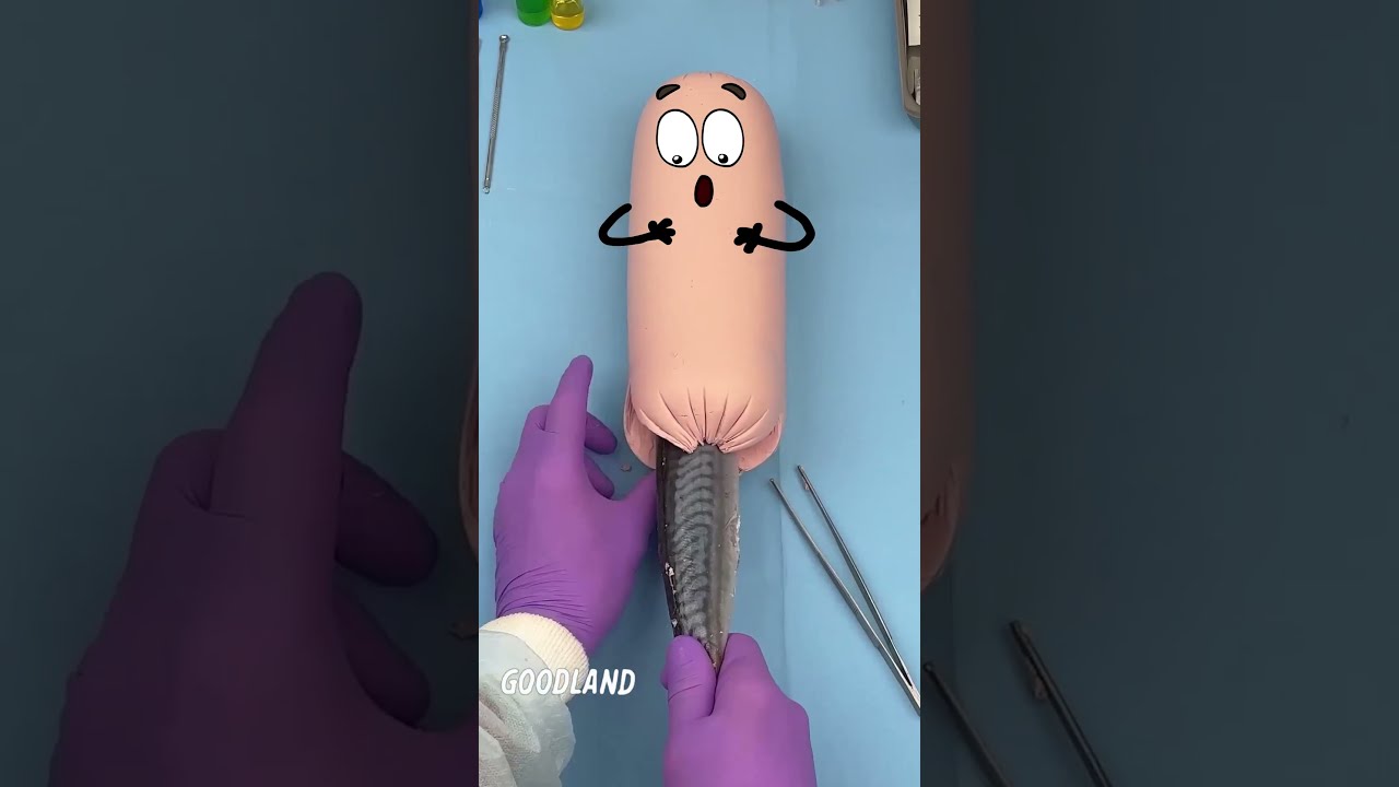 Goodland What Is There A Fish Inside The Sausage Doodles Animation Cartoon GOODLAND